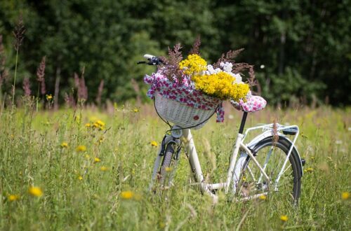 Sådan spotter du de bedste cykliske aktier