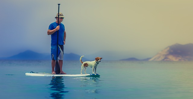 Sådan vælger du det rigtige paddleboard - råd til begyndere