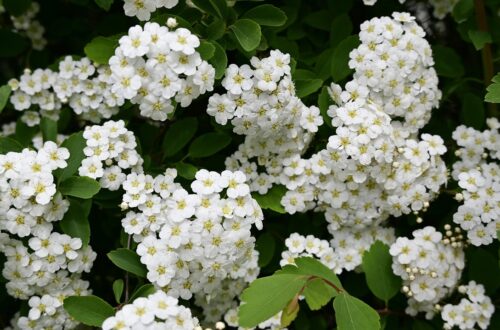 Fra minimalistisk til farverig: Små ørestikker sætter prikken over i’et